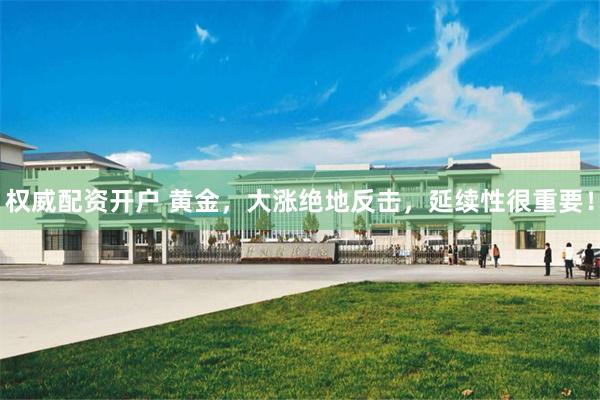 权威配资开户 黄金，大涨绝地反击，延续性很重要！